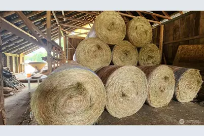 65 Wilderness Road, Oakville, WA 98568 - Photo 39