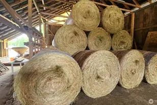 65 Wilderness Rd, Oakville, WA 98568 - Photo 39