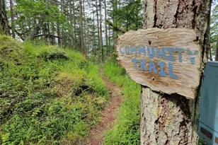 1354 Chinook Way, Center Island, WA 98221 - Photo 35