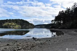 1354 Chinook Way, Center Island, WA 98221 - Photo 33