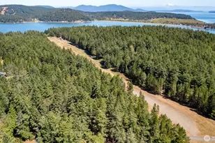 1354 Chinook Way, Center Island, WA 98221 - Photo 27