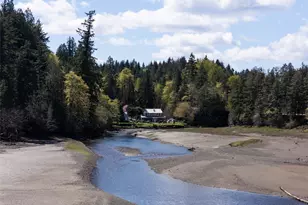 8320 E Grapeview Loop Rd, Allyn, WA 98524 - Photo 35