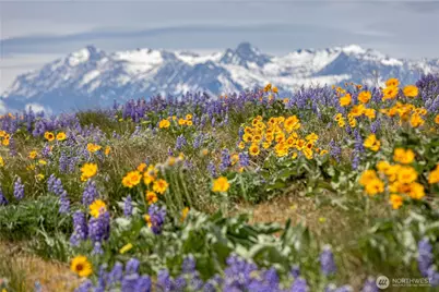 0 Lot 2 Burch Mountain Road, Wenatchee, WA 98801 - Photo 11