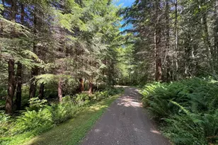 325 Evergreen View Pkwy, Port Angeles, WA 98363 - Photo 3