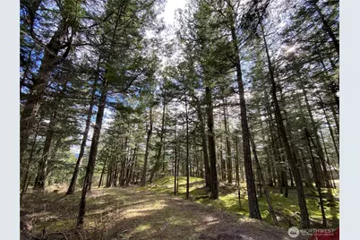 9 Tomihi Drive, Orcas Island, WA 98245 - Photo 27