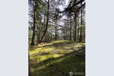 9 Tomihi Drive, Orcas Island, WA 98245 - Photo 23