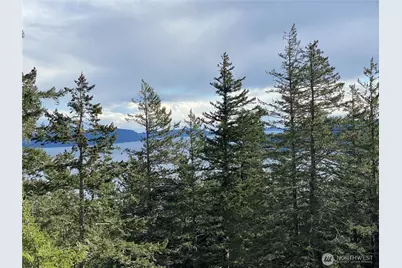 9 Tomihi Drive, Orcas Island, WA 98245 - Photo 7