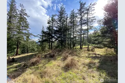 9 Tomihi Drive, Orcas Island, WA 98245 - Photo 17