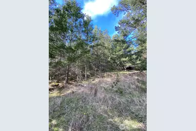 9 Tomihi Drive, Orcas Island, WA 98245 - Photo 25