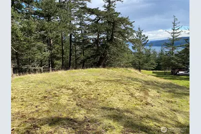 9 Tomihi Drive, Orcas Island, WA 98245 - Photo 11
