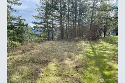 9 Tomihi Drive, Orcas Island, WA 98245 - Photo 13