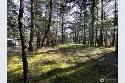 9 Tomihi Drive, Orcas Island, WA 98245 - Photo 15