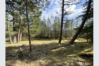 9 Tomihi Drive, Orcas Island, WA 98245 - Photo 19