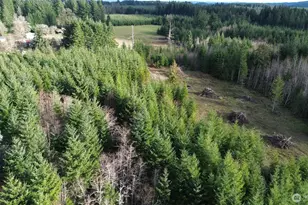 9605 Prather Rd SW, Rochester, WA 98579 - Photo 1