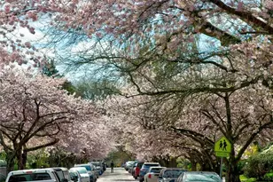 939 21st Ave E, Seattle, WA 98112 - Photo 33