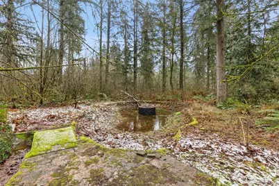 12828 314th Avenue NE, Duvall, WA 98019 - Photo 35