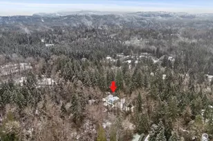 12828 314th Ave NE, Duvall, WA 98019 - Photo 39