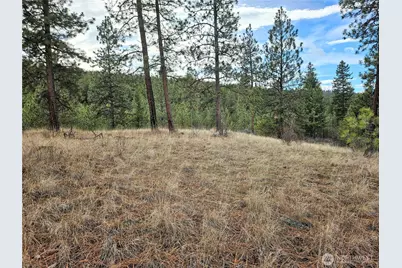 315 W Corral Drive, Oroville, WA 98844 - Photo 5