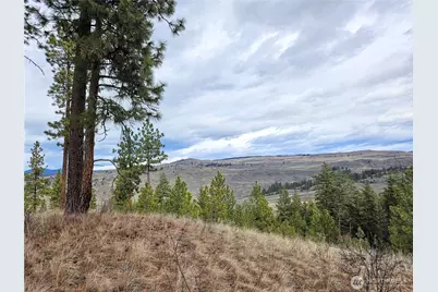 315 W Corral Drive, Oroville, WA 98844 - Photo 9