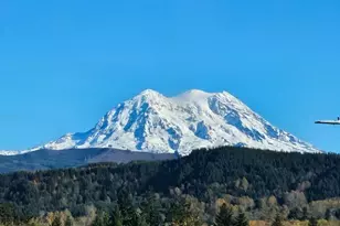 633 Joy St, Eatonville, WA 98328 - Photo 33