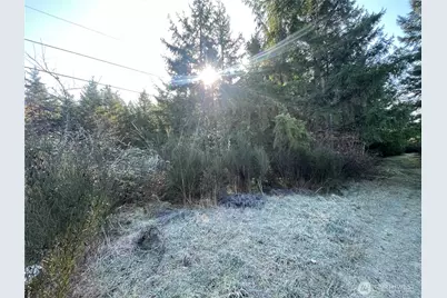 0 222nd Street E, Graham, WA 98338 - Photo 9