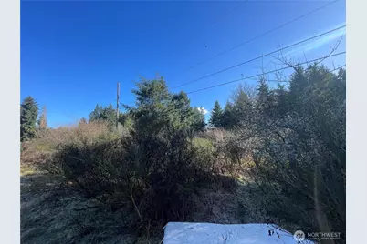 0 222nd Street E, Graham, WA 98338 - Photo 11