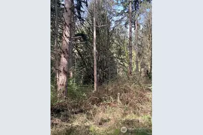 0 Xxx Hellman Road, Clinton, WA 98236 - Photo 5