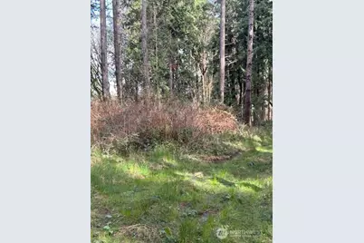 0 Xxx Hellman Road, Clinton, WA 98236 - Photo 11