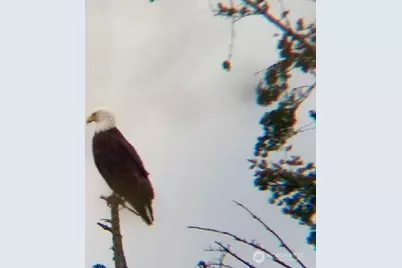 4302 77th Place NW, Tulalip, WA 98271 - Photo 9