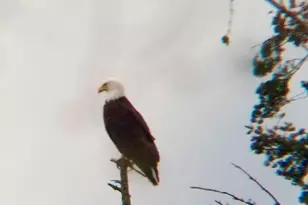 4302 77th Pl NW, Tulalip, WA 98271 - Photo 9