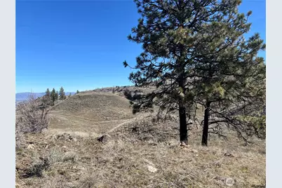 0 Nna Soap Lake Road, Malott, WA 98829 - Photo 3