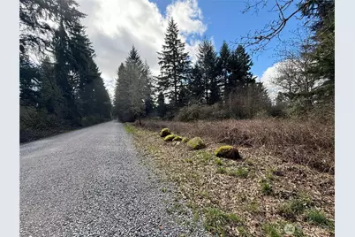 35208 88th Avenue, McKenna, WA 98558 - Photo 29