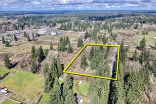 35208 88th Ave, McKenna, WA 98558 - Photo 1