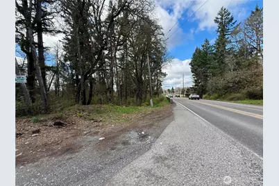 35208 88th Avenue, McKenna, WA 98558 - Photo 31