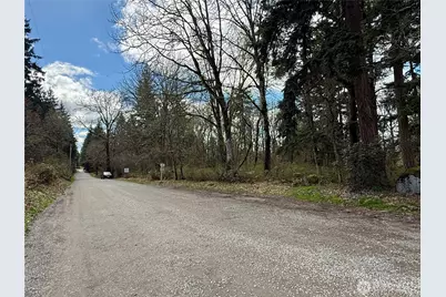 35208 88th Avenue, McKenna, WA 98558 - Photo 27