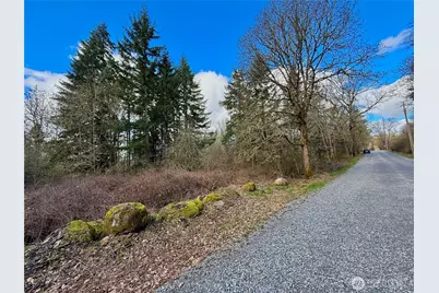 35208 88th Avenue, McKenna, WA 98558 - Photo 3