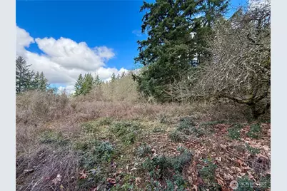 35208 88th Avenue, McKenna, WA 98558 - Photo 15