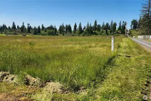 917 Middle Fork Rd, Onalaska, WA 98570 - Photo 1