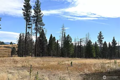 81 Rose Valley Rd, Republic, WA 99166 - Photo 33