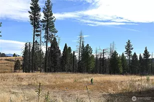 81 Rose Valley Rd, Republic, WA 99166 - Photo 33