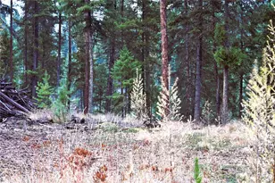 81 Rose Valley Rd, Republic, WA 99166 - Photo 21