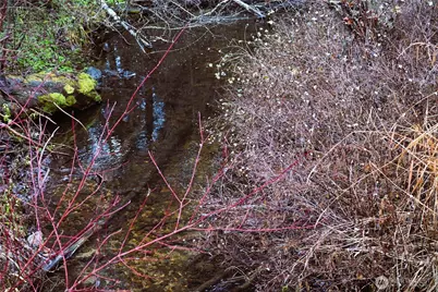 81 Rose Valley Rd, Republic, WA 99166 - Photo 25