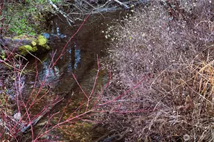 81 Rose Valley Rd, Republic, WA 99166 - Photo 25