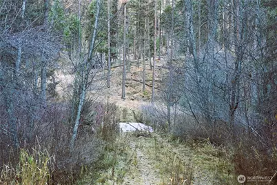 81 Rose Valley Rd, Republic, WA 99166 - Photo 27