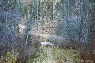 81 Rose Valley Rd, Republic, WA 99166 - Photo 27