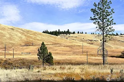 81 Rose Valley Rd, Republic, WA 99166 - Photo 3