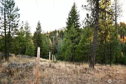 81 Rose Valley Rd, Republic, WA 99166 - Photo 29