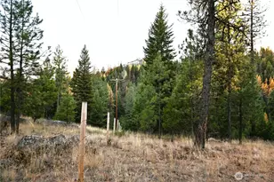 81 Rose Valley Rd, Republic, WA 99166 - Photo 29