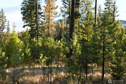 81 Rose Valley Rd, Republic, WA 99166 - Photo 31