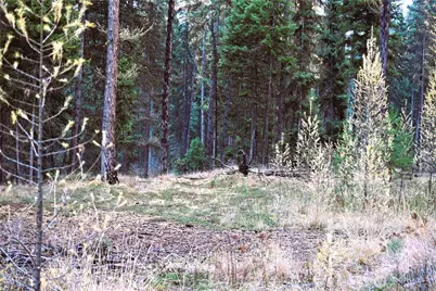 81 Rose Valley Rd, Republic, WA 99166 - Photo 23